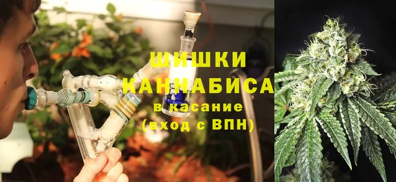 Бошки Шишки White Widow  наркота  Андреаполь 